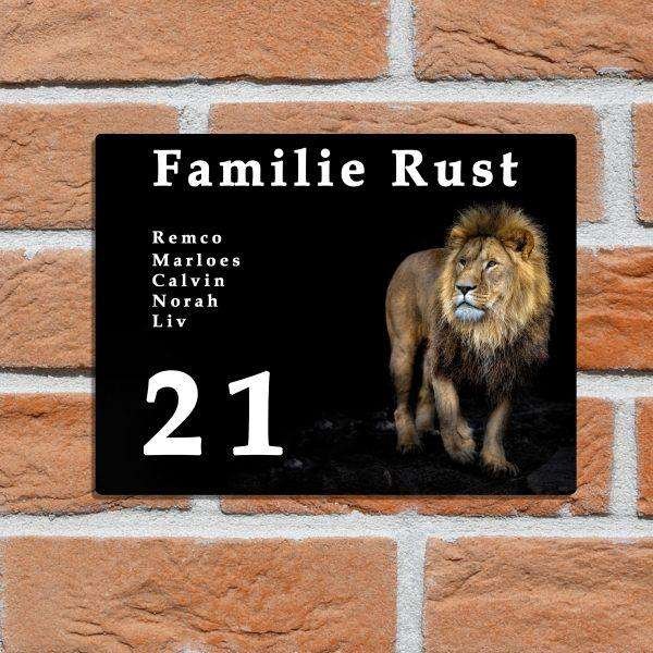 Leeuw 3 - Afbeelding 2
