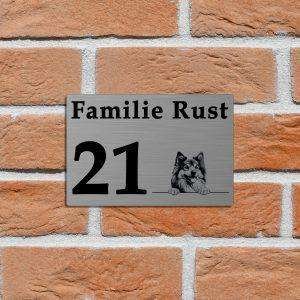 Met huisdier 3 (100x150mm)