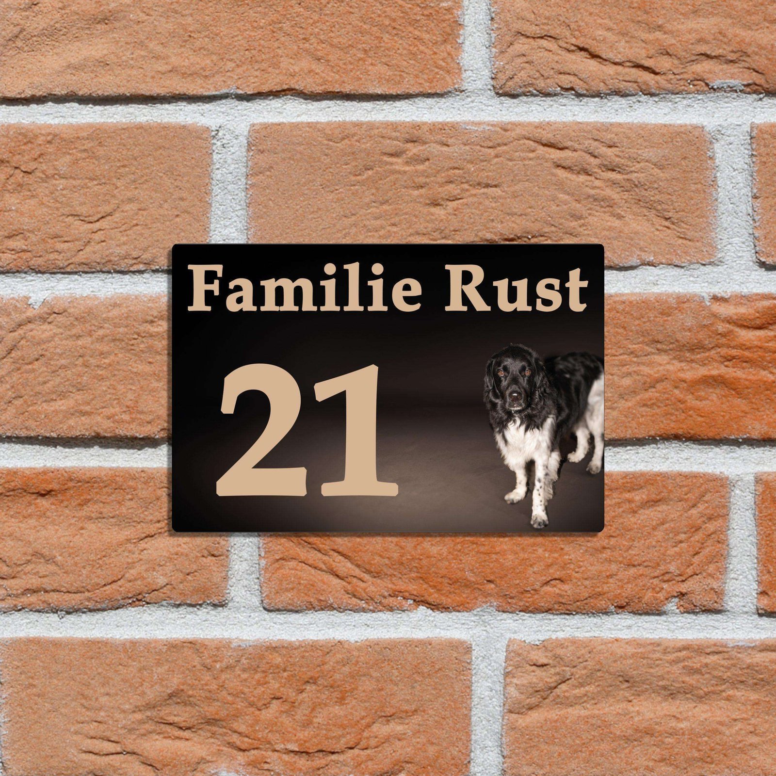 Met huisdier 6 - Rust-drukwerk