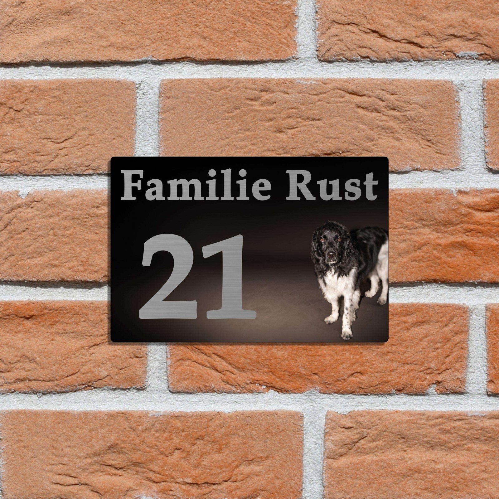 Met huisdier 6 - Rust-drukwerk