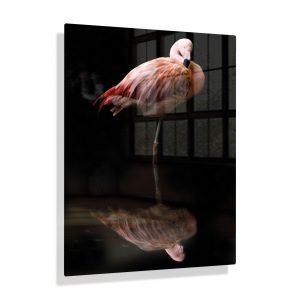 Voorbeeldfoto Flamingo op aluminium fotopaneel