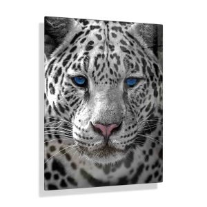 Voorbeeldfoto Jaguar blauwe ogen