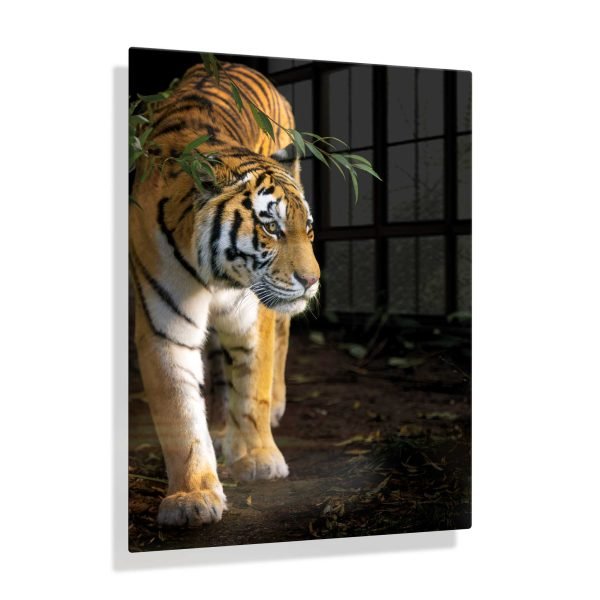 Voorbeeldfoto Tijger op aluminium fotopaneel