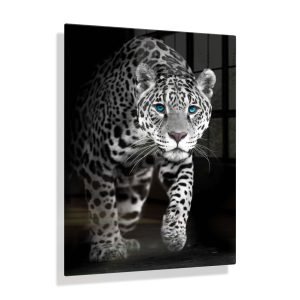 Voorbeeldfoto Jaguar blauwe ogen 2