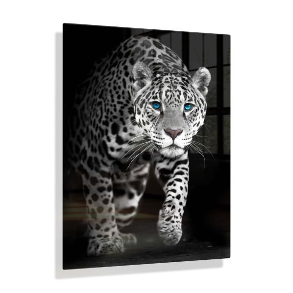 Voorbeeldfoto Jaguar blauwe ogen 2
