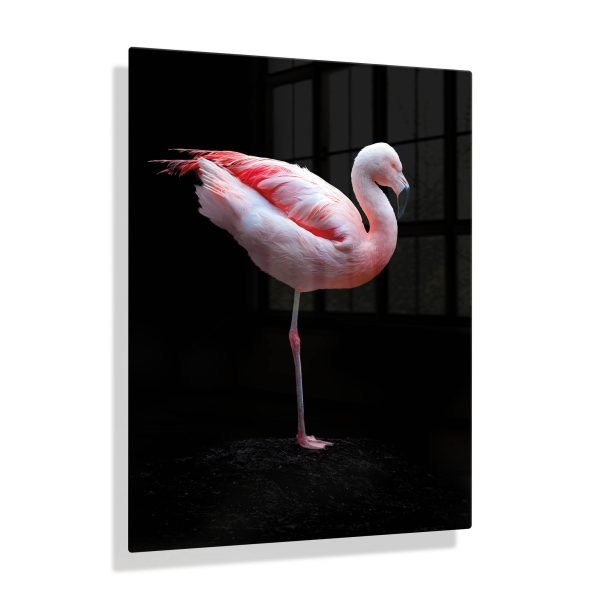 Voorbeeldfoto Flamingo 2 op aluminium fotopaneel