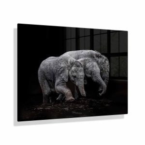 Voorbeeldfoto Drie jonge olifanten op aluminium fotopaneel