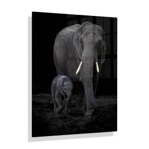 Voorbeeldfoto Olifant met jong op aluminium fotopaneel