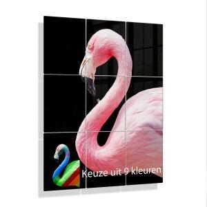 Foto aan de muur Flamingo Multicolour