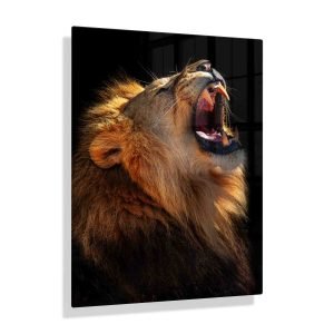 Foto aan de muur Leeuw brullend