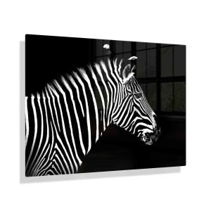 Foto aan de muur Zebra