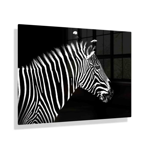Foto aan de muur Zebra