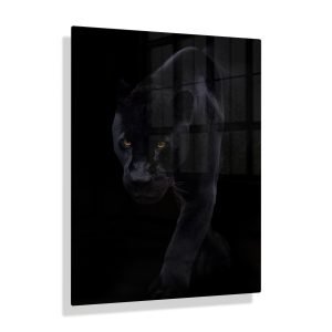 Foto aan de muur Zwarte panter