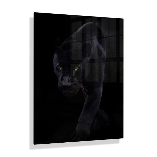 Foto aan de muur Zwarte panter